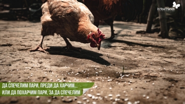 Да спечелим пари, преди да харчим... или да похарчим пари, за да спечелим